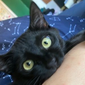 Meet your Posher, Russ